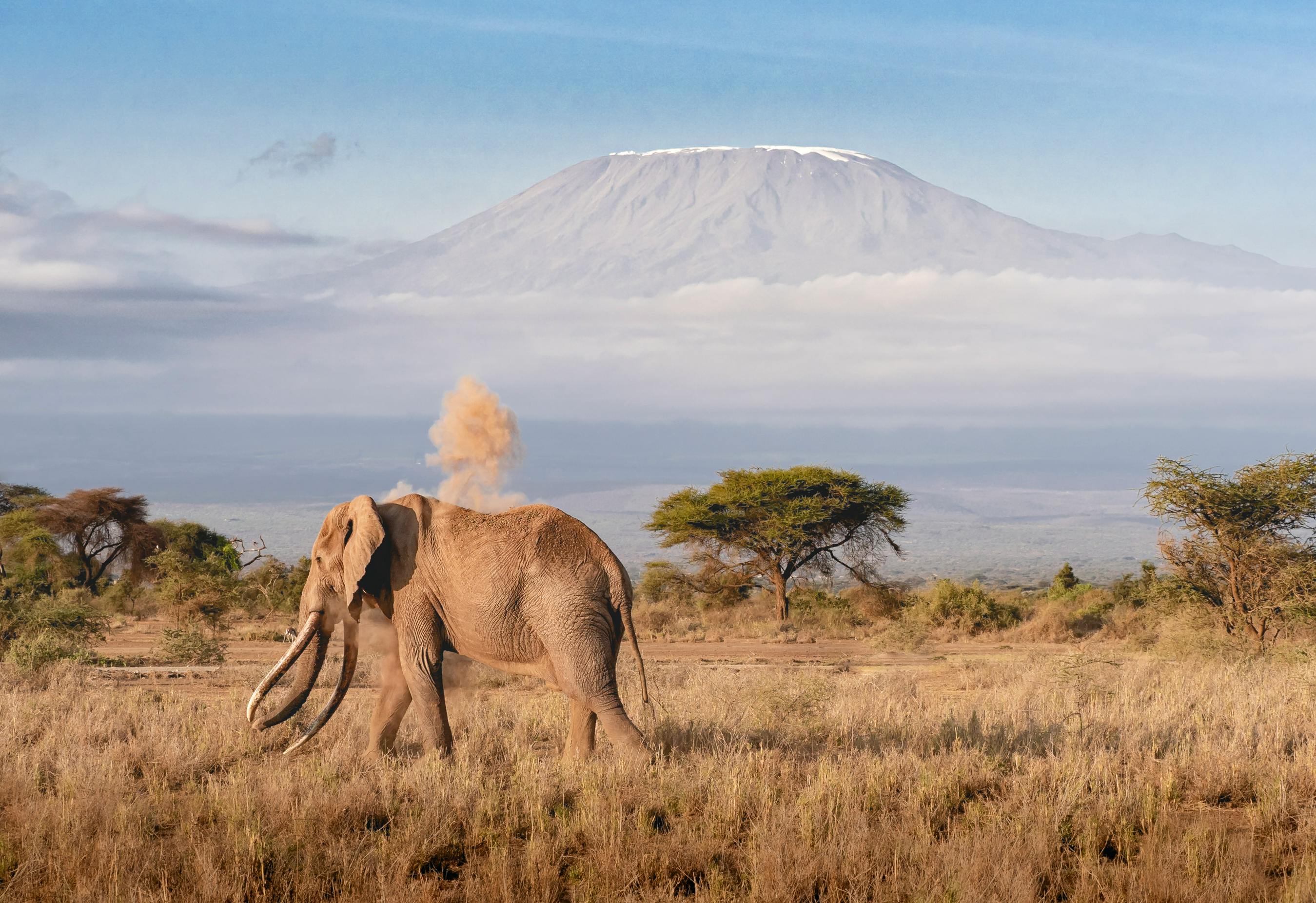 Why Climb2Kili Is the Best Kilimanjaro Operator