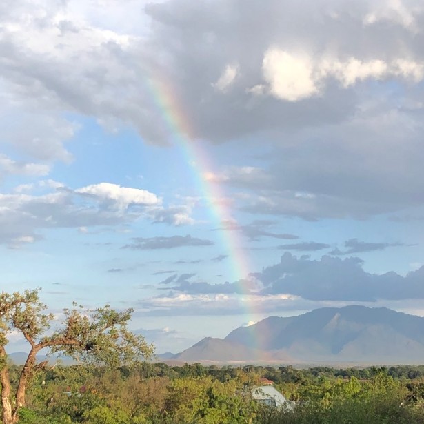 Climb2Kili safari and mountain travel highlight
