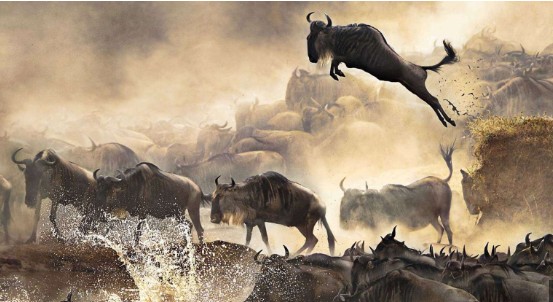 Serengeti National Park