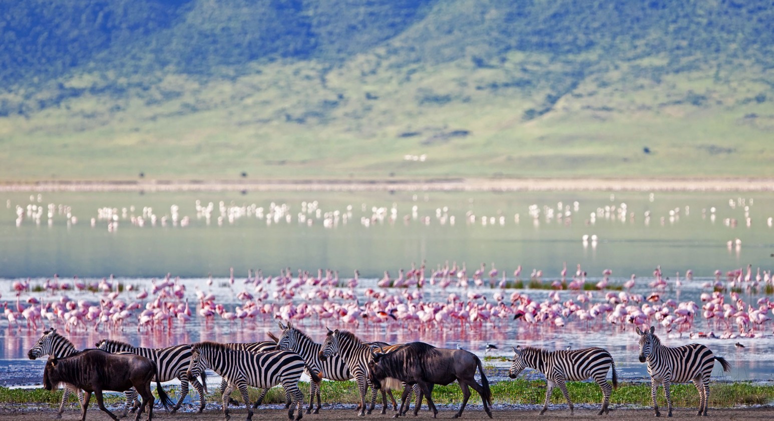 Ngorongoro Crater