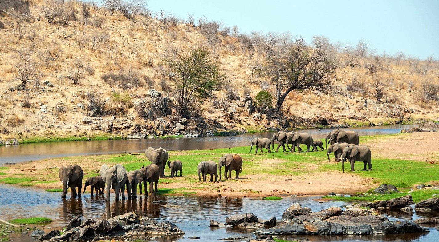 Ruaha National Park